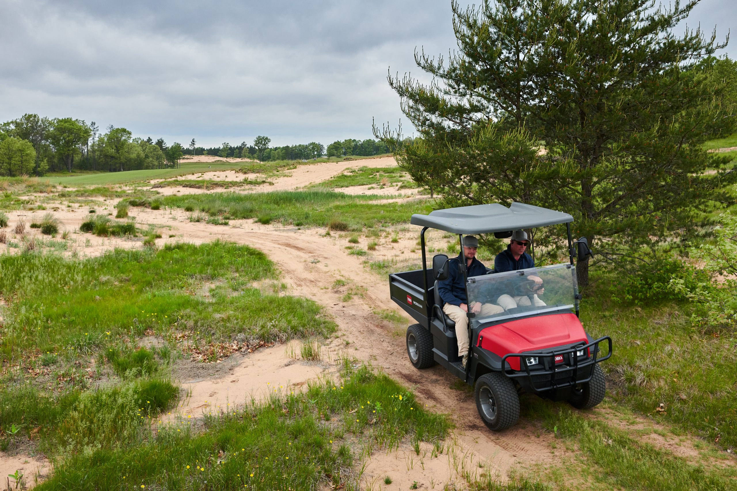 Toro Workman GTX